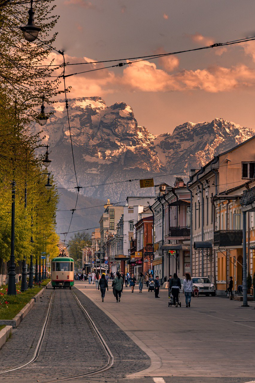 Раки прелесть вроде
